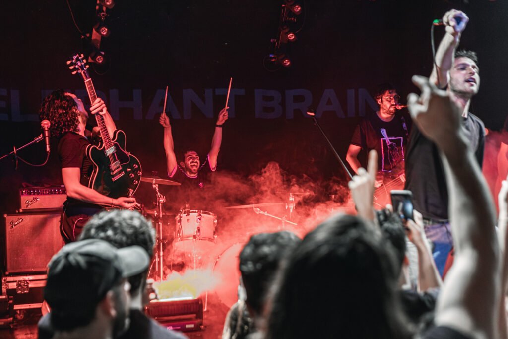Elephant Brain_Astro_260111_136